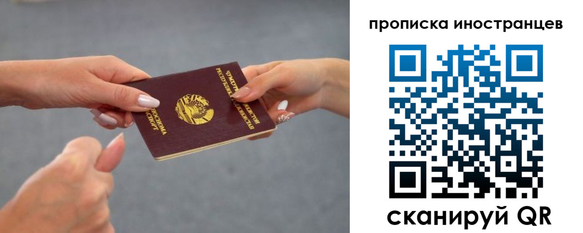 где прописаться в Палласовке